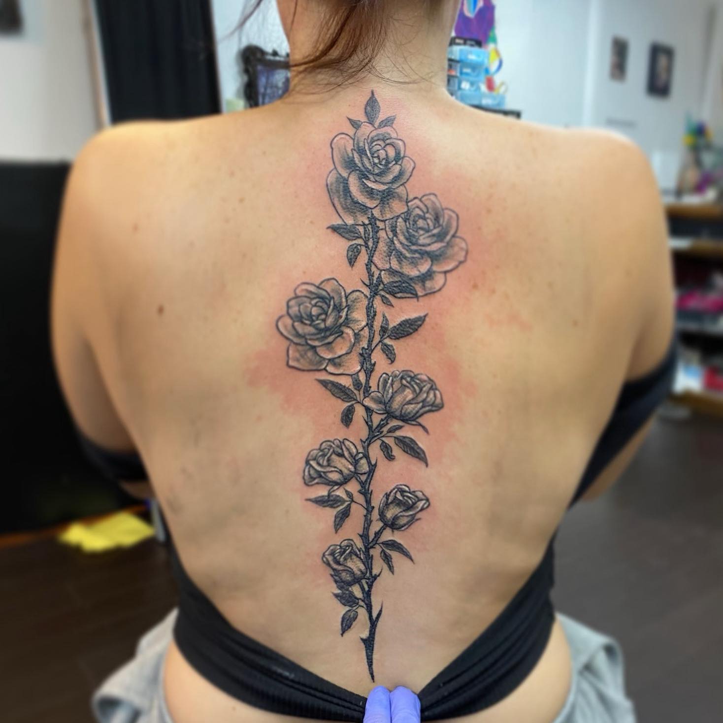 Ivy work 7