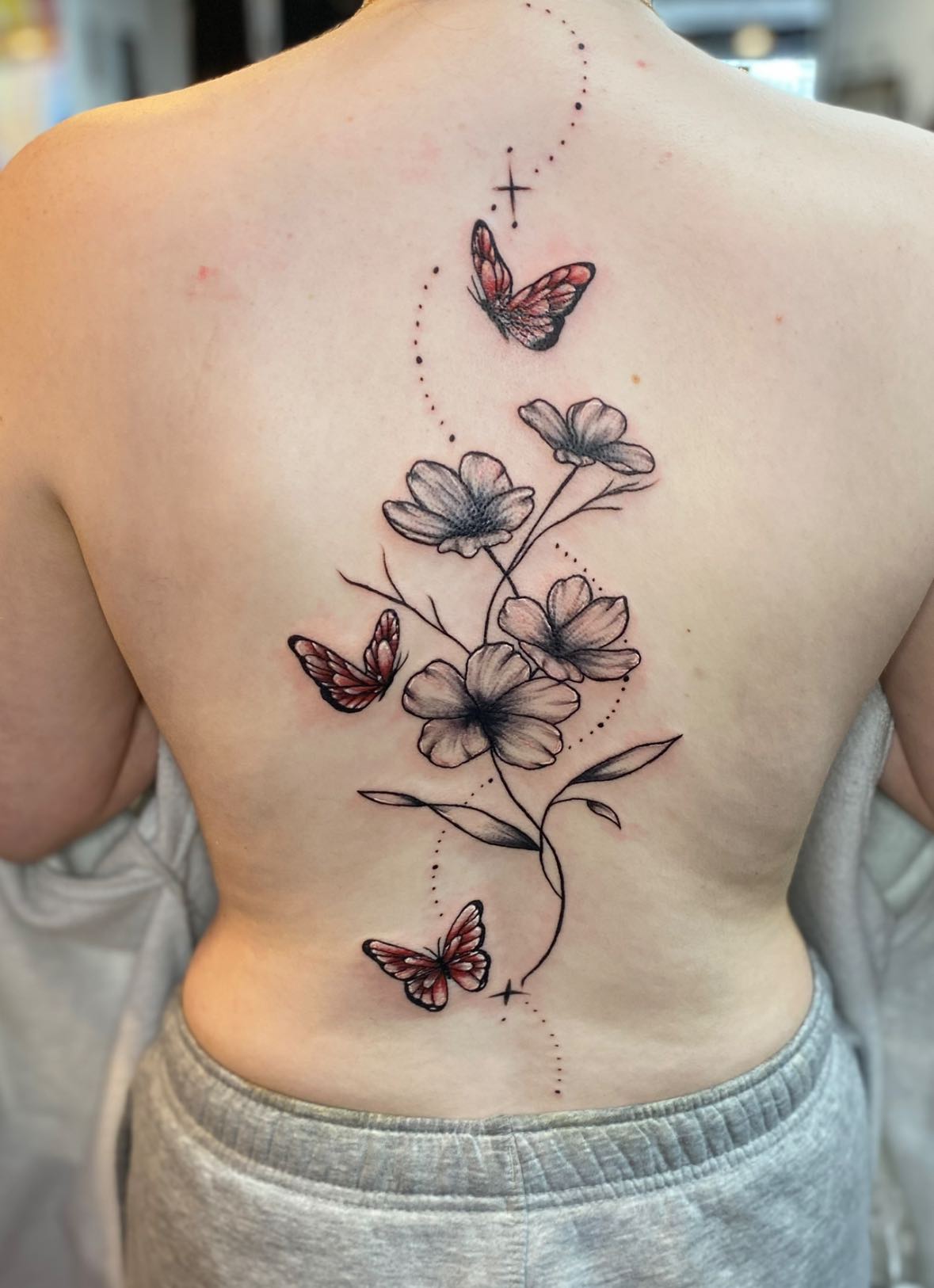Ivy work 8