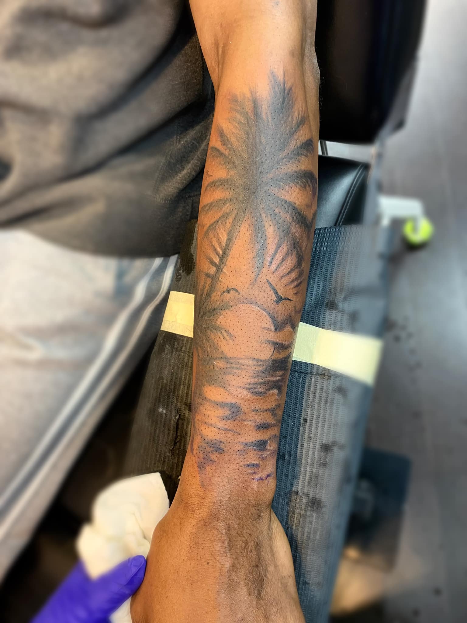 Ivy work 15