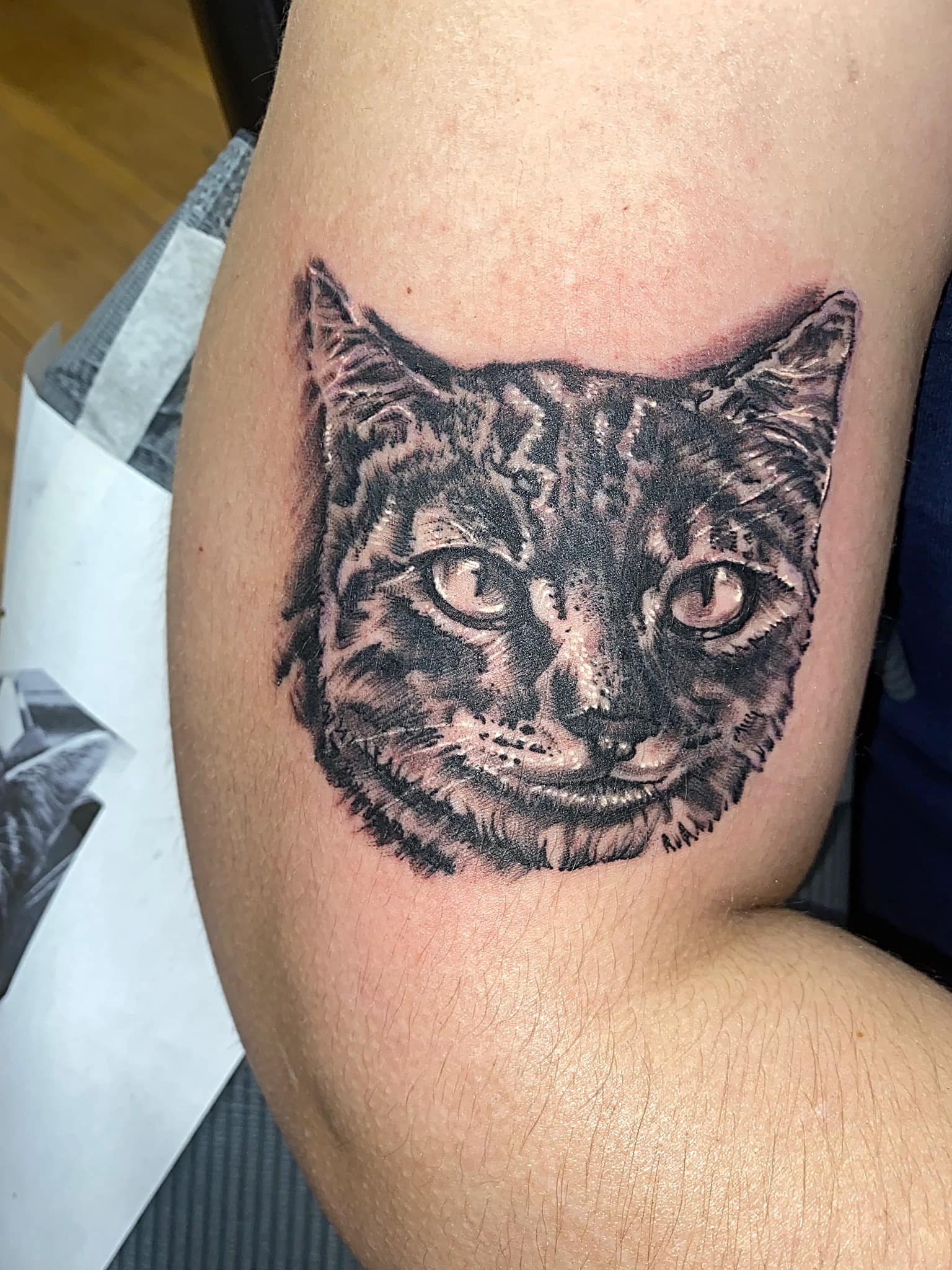 Work by Todd