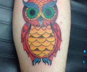 owls-0808