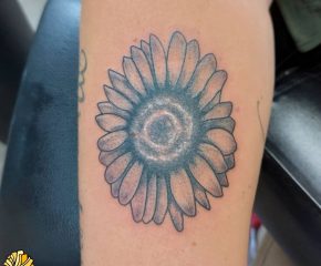 sunflower sept 25 21