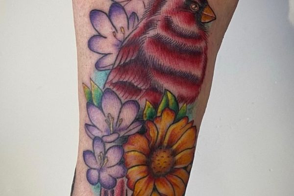 bird nov 25 22