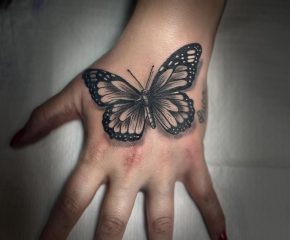 butterflyhand aug2724