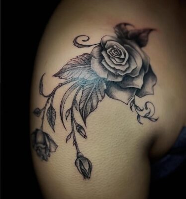 shoulder rose april 1
