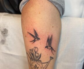 sparrows may 15