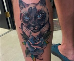 cat