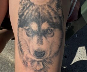 dog sept 24 25