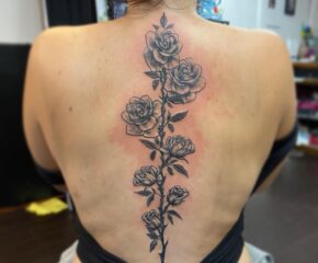 roses sept 24 25