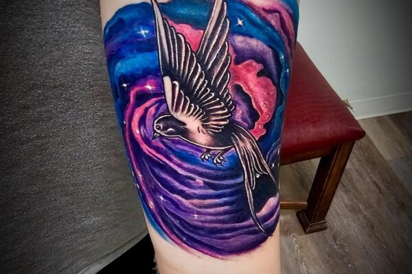 bird space march 28 26