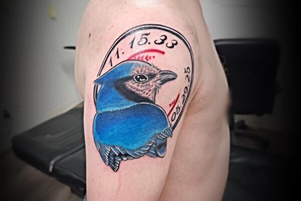 blue jay may 9