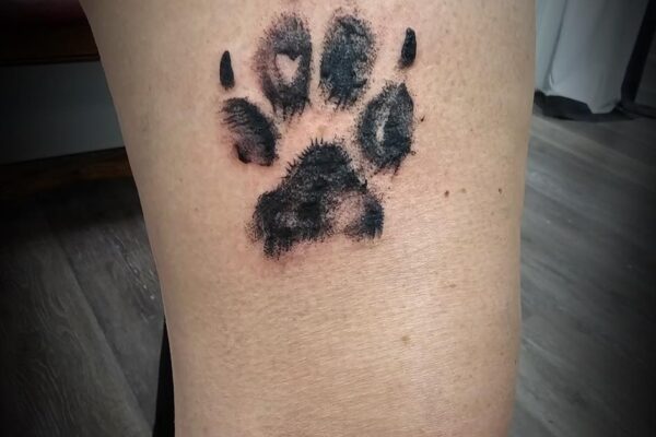 paw print may 9